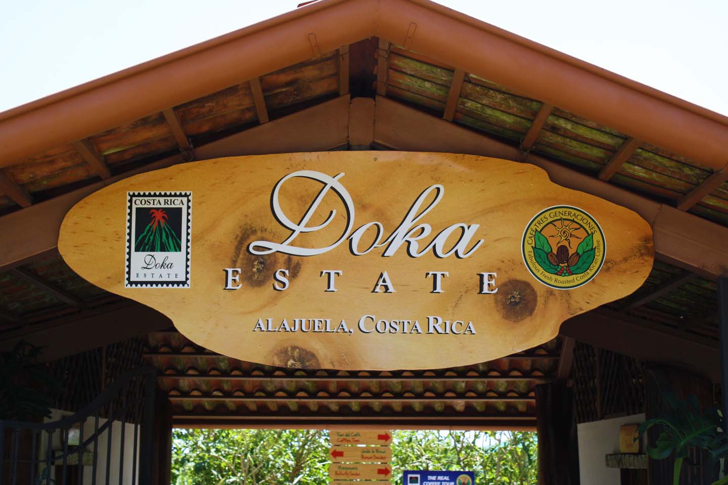 Doka Estate Coffee tour