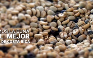 Coffee tours in Costa Rica