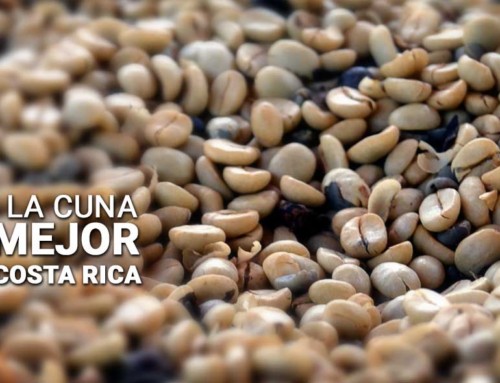 Attention Coffee Lovers – The Nomad America Guide to the Costa Rican Coffee Experience.