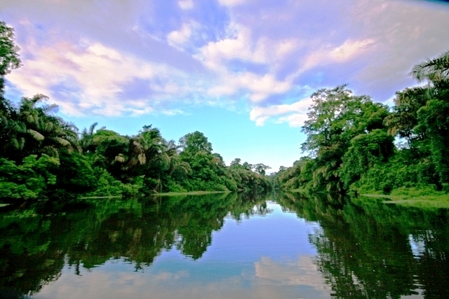 tortuguero costa rica