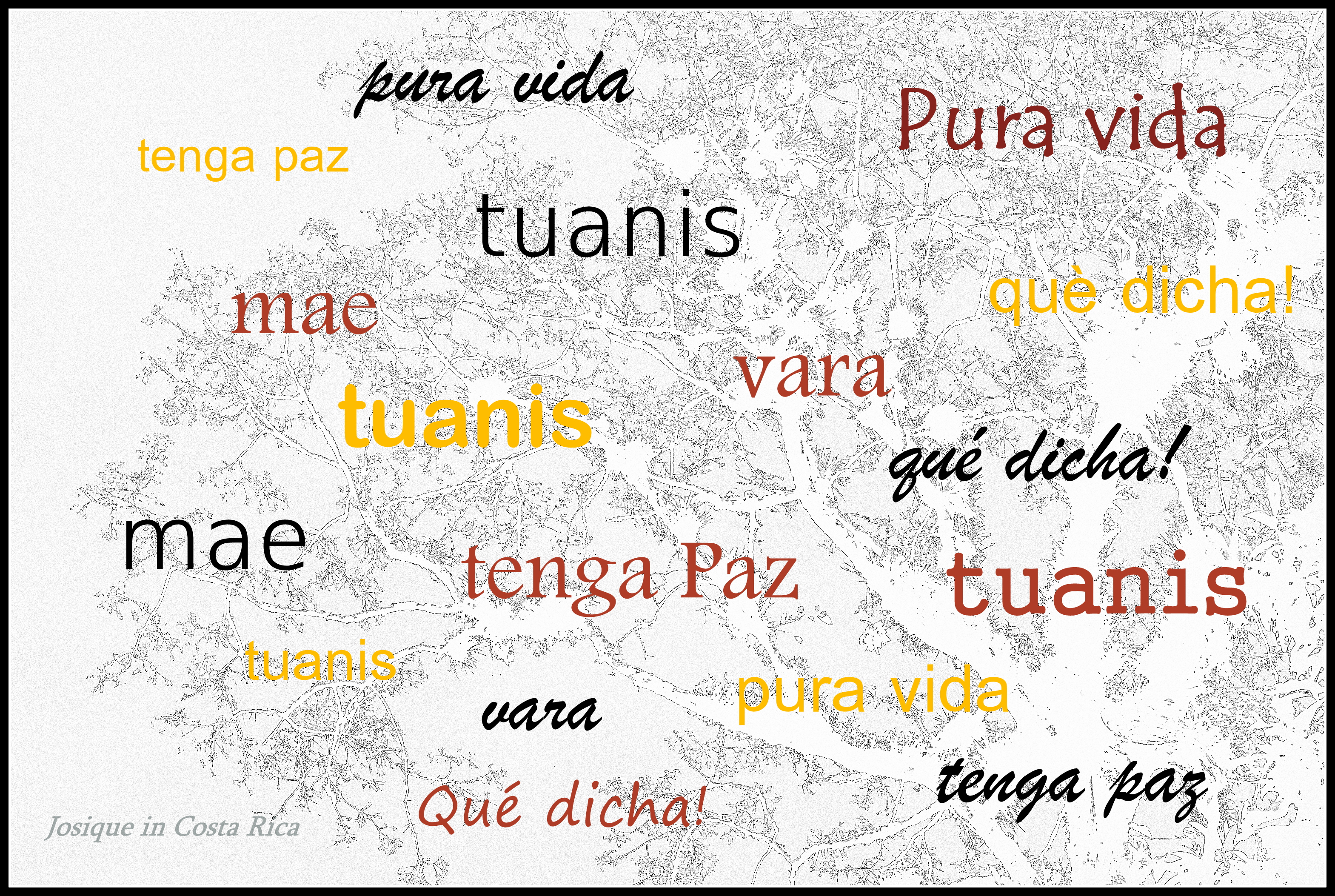 Vida Volunteer on X: Learn your Costa Rican Slang: Chonete means a typical  Costa Rican hat.  / X