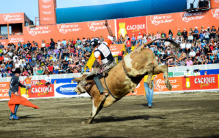 Costa Rica bullriding festival