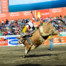 Costa Rica bullriding festival