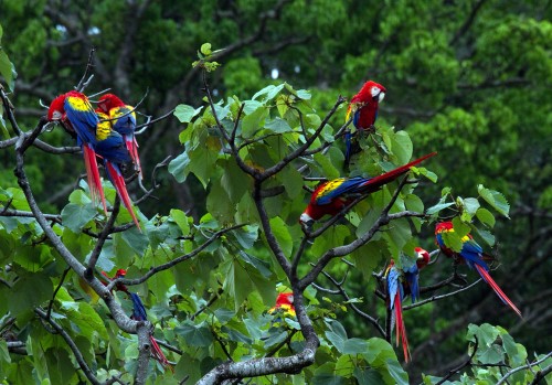 4x4 rentals in Costa Rica