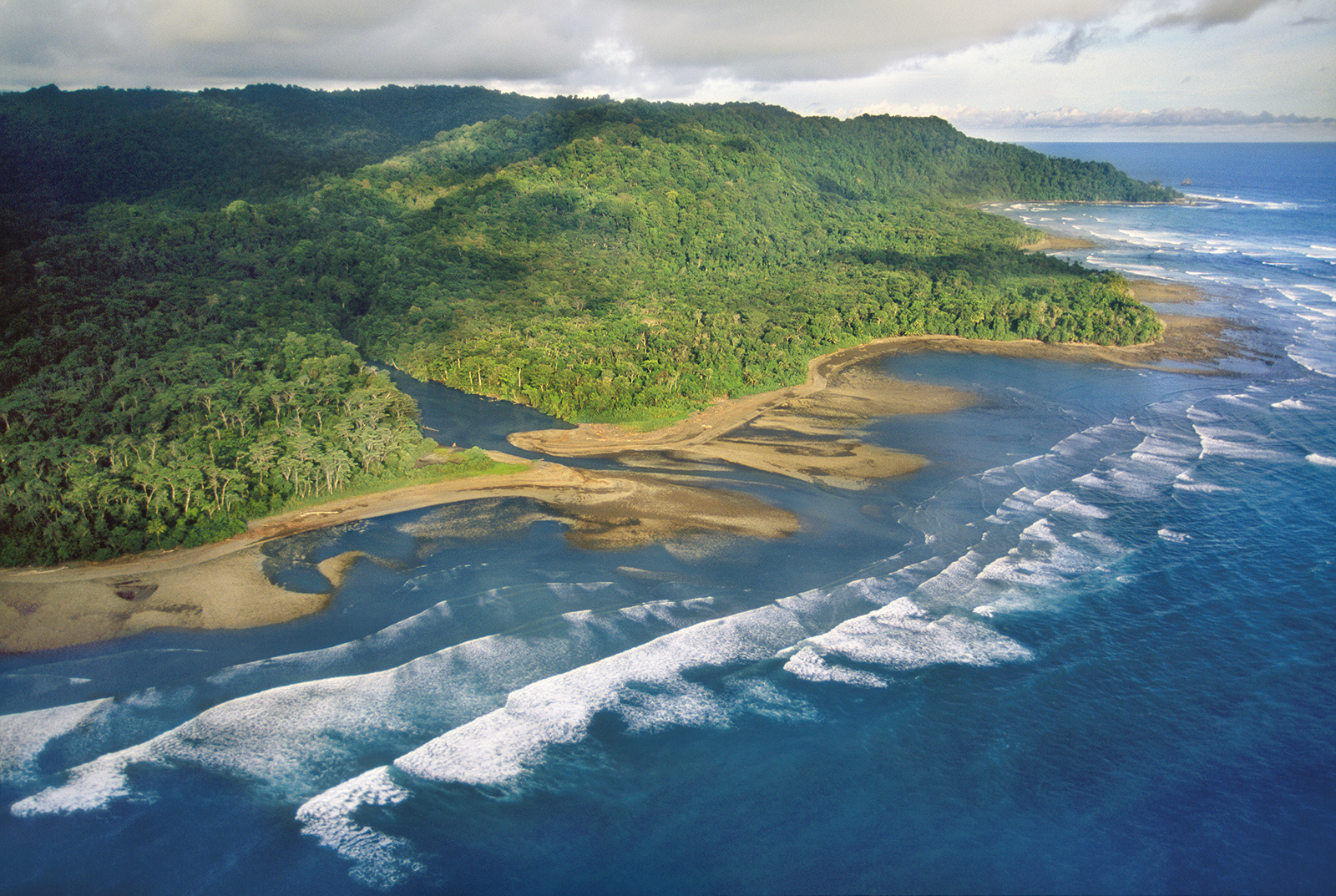 The amazing Corcovado National Park