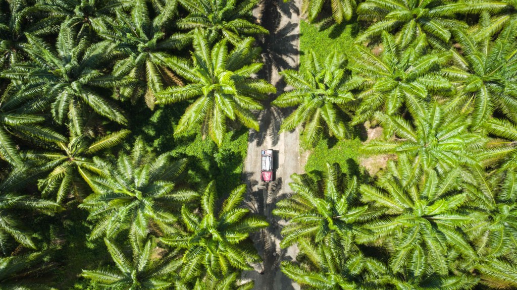 Land Rover Defender through Costa Rica