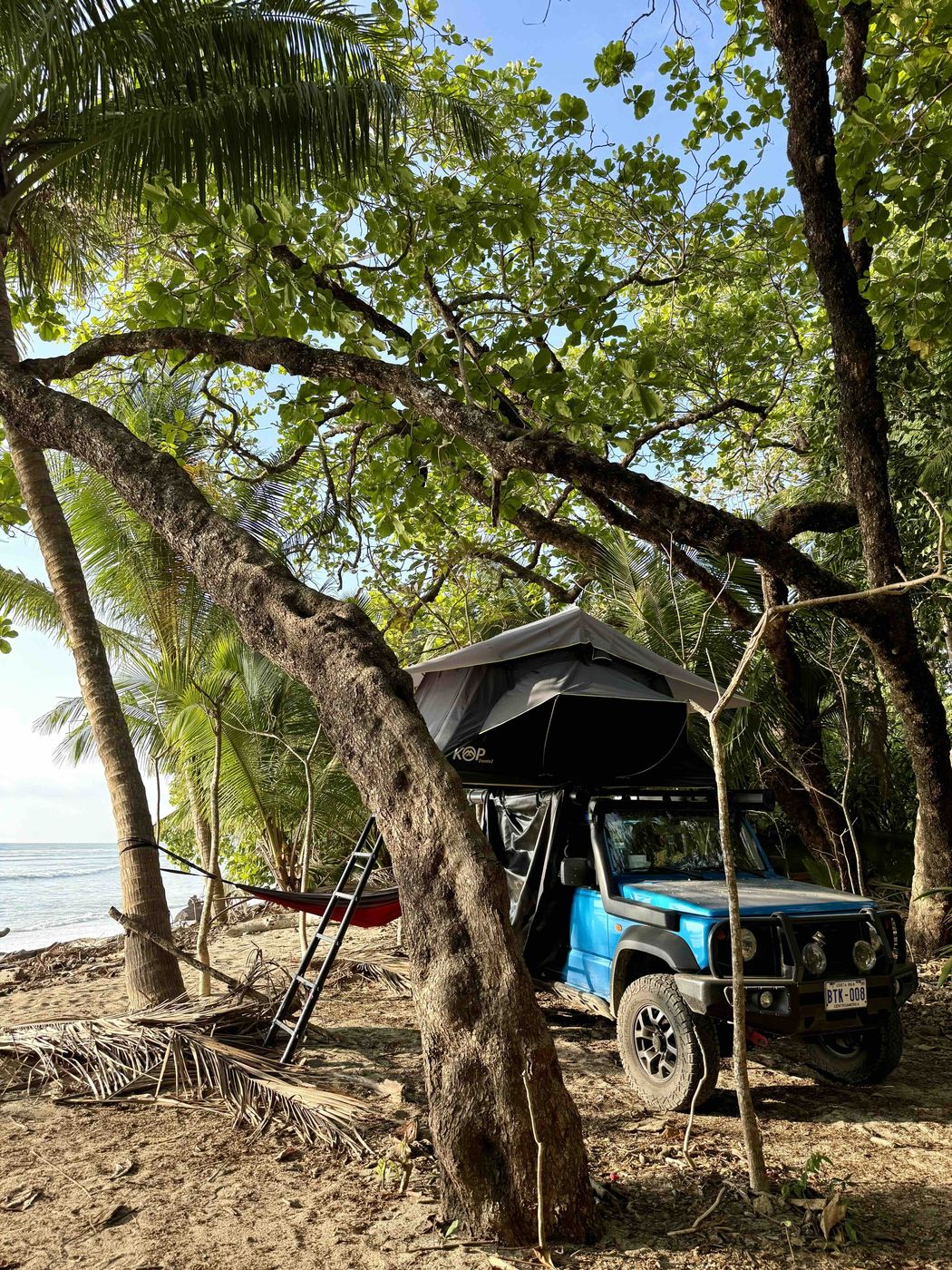 Blue Suzuki Jimny camped under palm trees