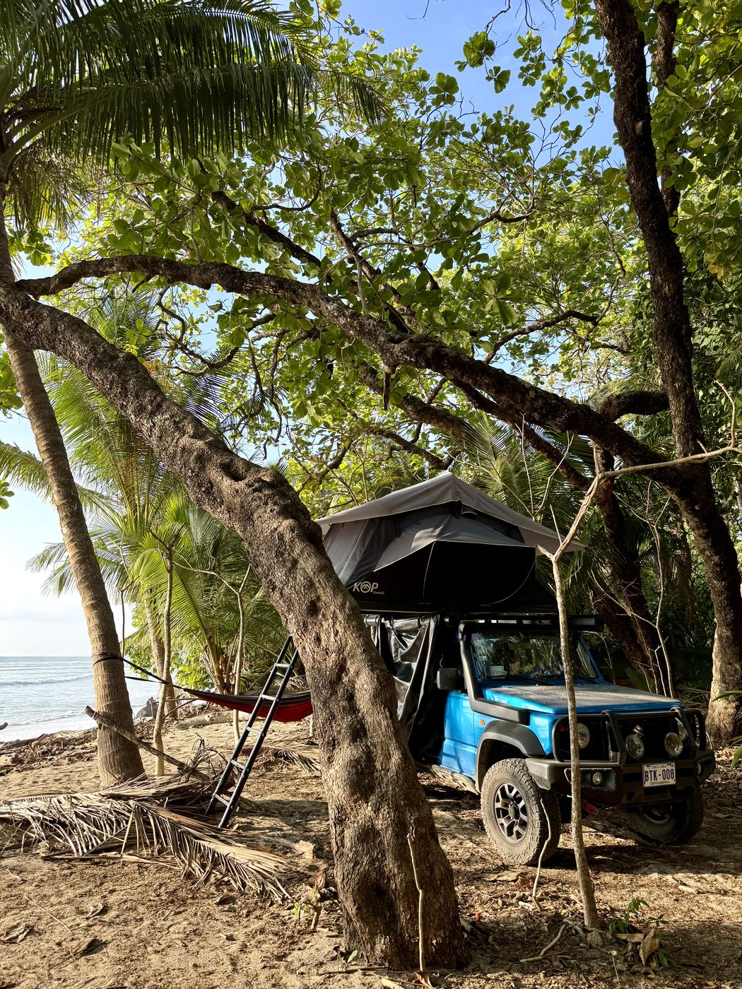 Blue Suzuki Jimny with its rooftop tent open under palm trees by the beach