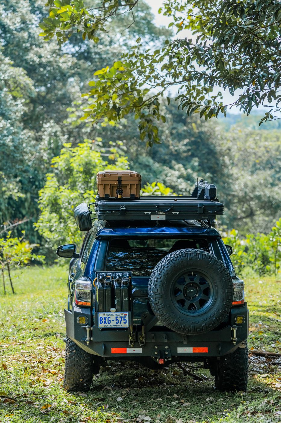 Rear view of the Toyota 4Runner Premium under trees