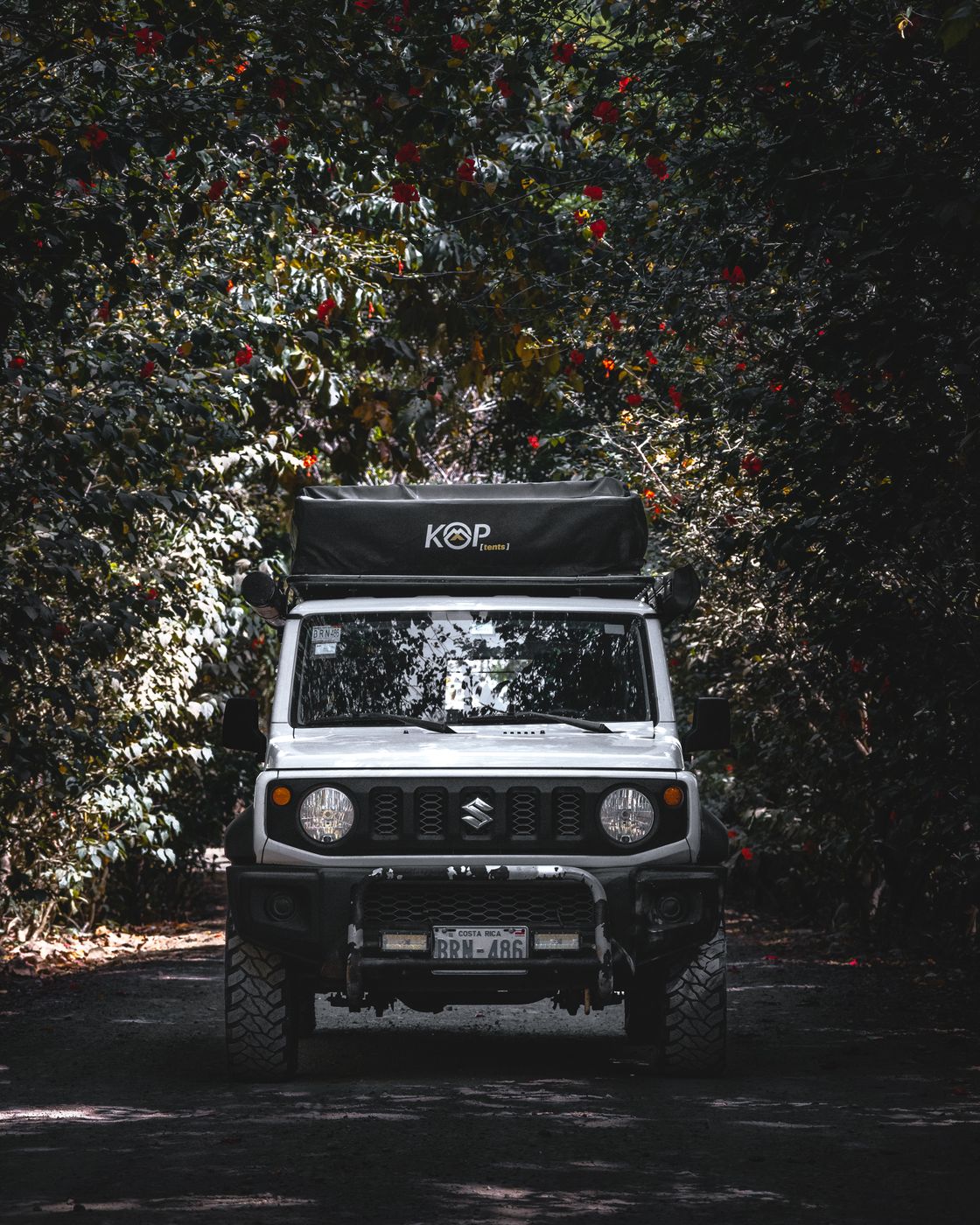 Suzuki Jimny driving a shaded forest track