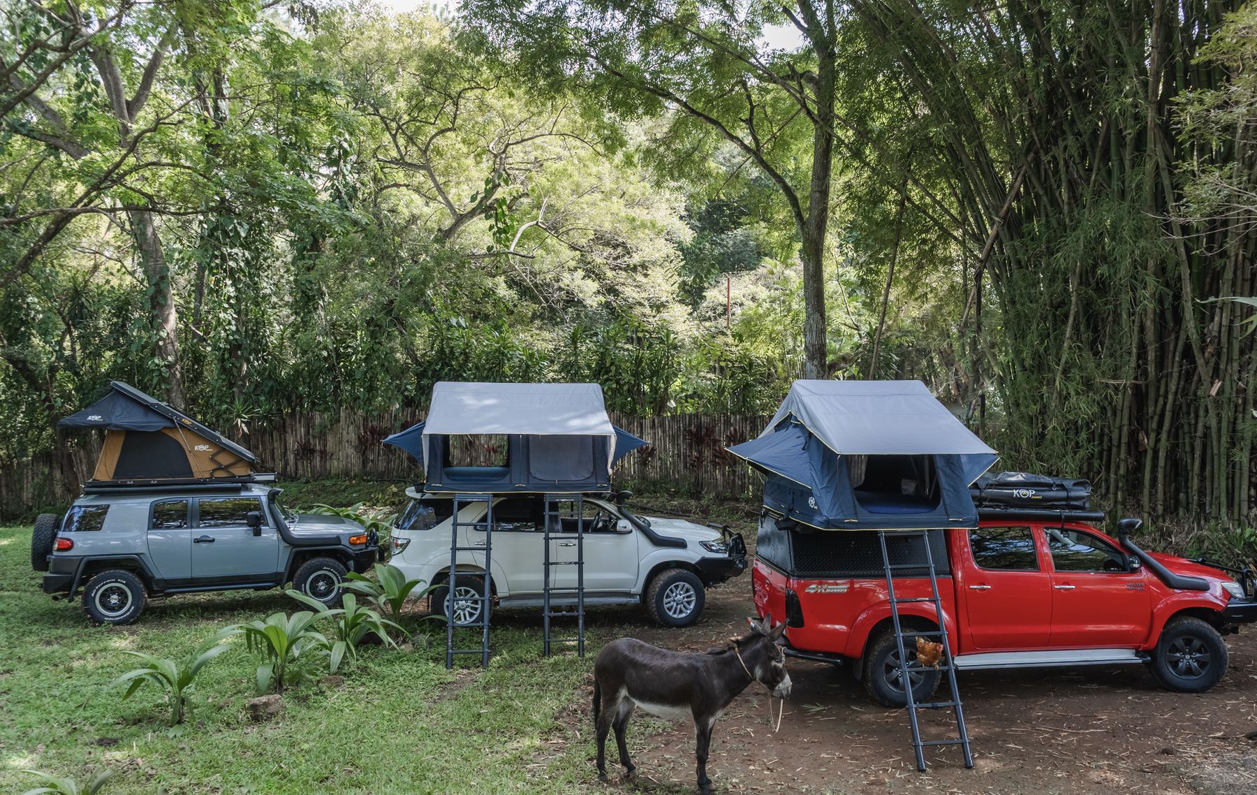 Three Nomad America 4x4s side by side showing the hard-shell, double and standard rooftop tents open