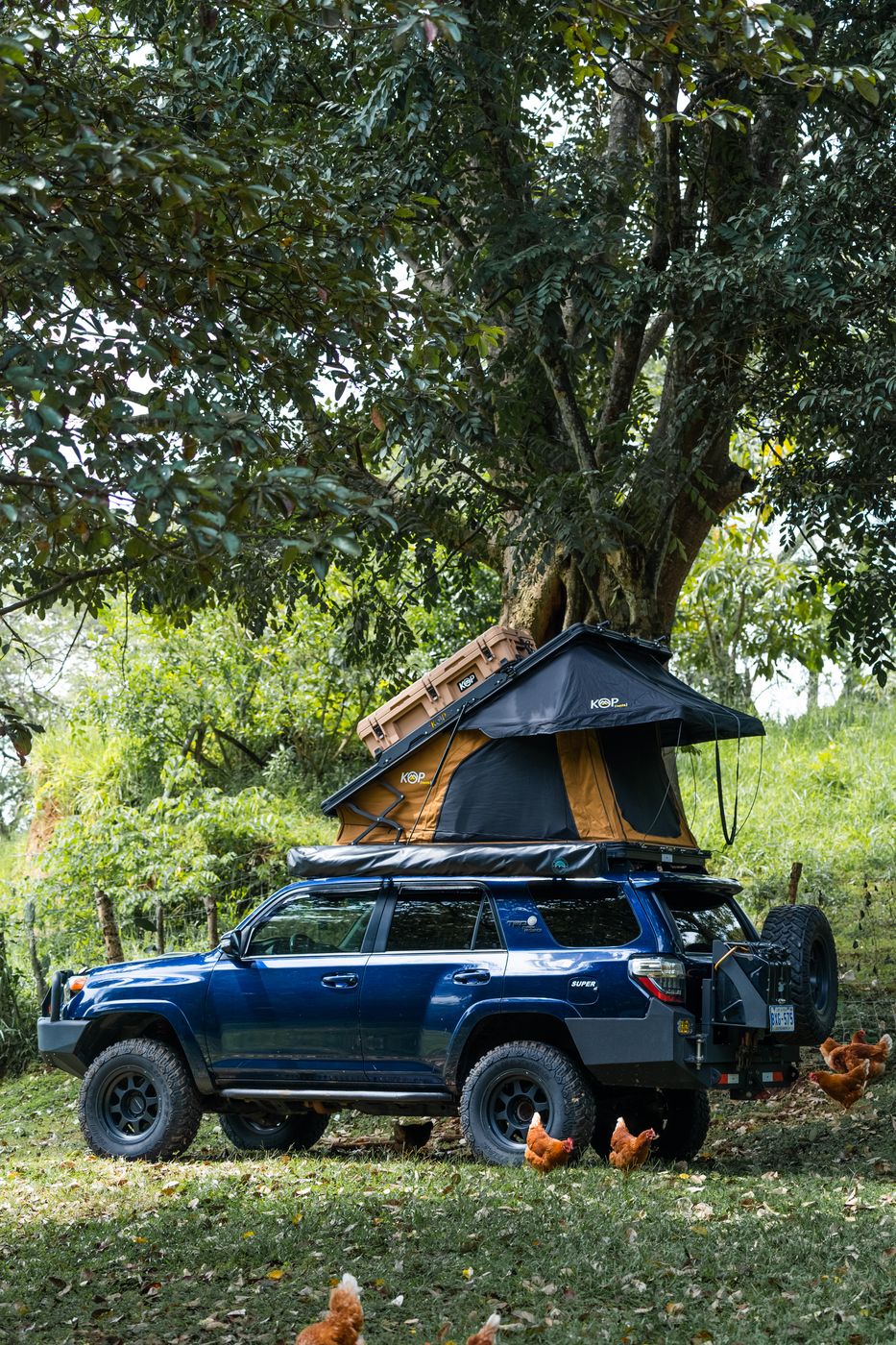 Toyota 4Runner Premium camped under a large tree