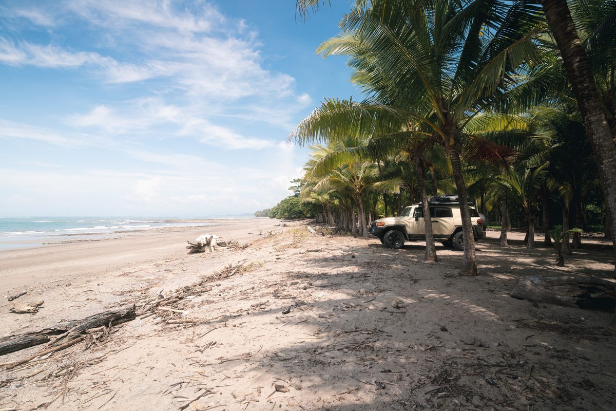 Toyota FJ Cruiser parked under palms on a wide empty beach