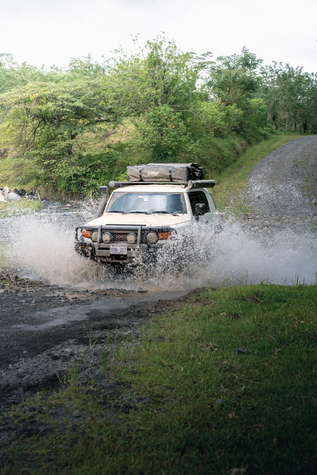 Toyota FJ Cruiser splashing through a river crossing
