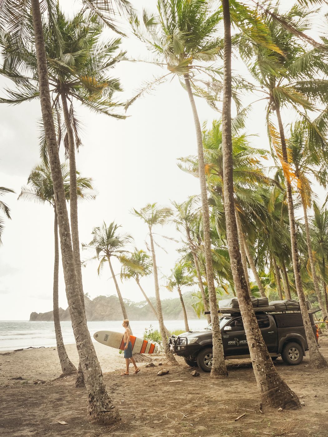 Toyota Hilux parked among tall palms on a beach