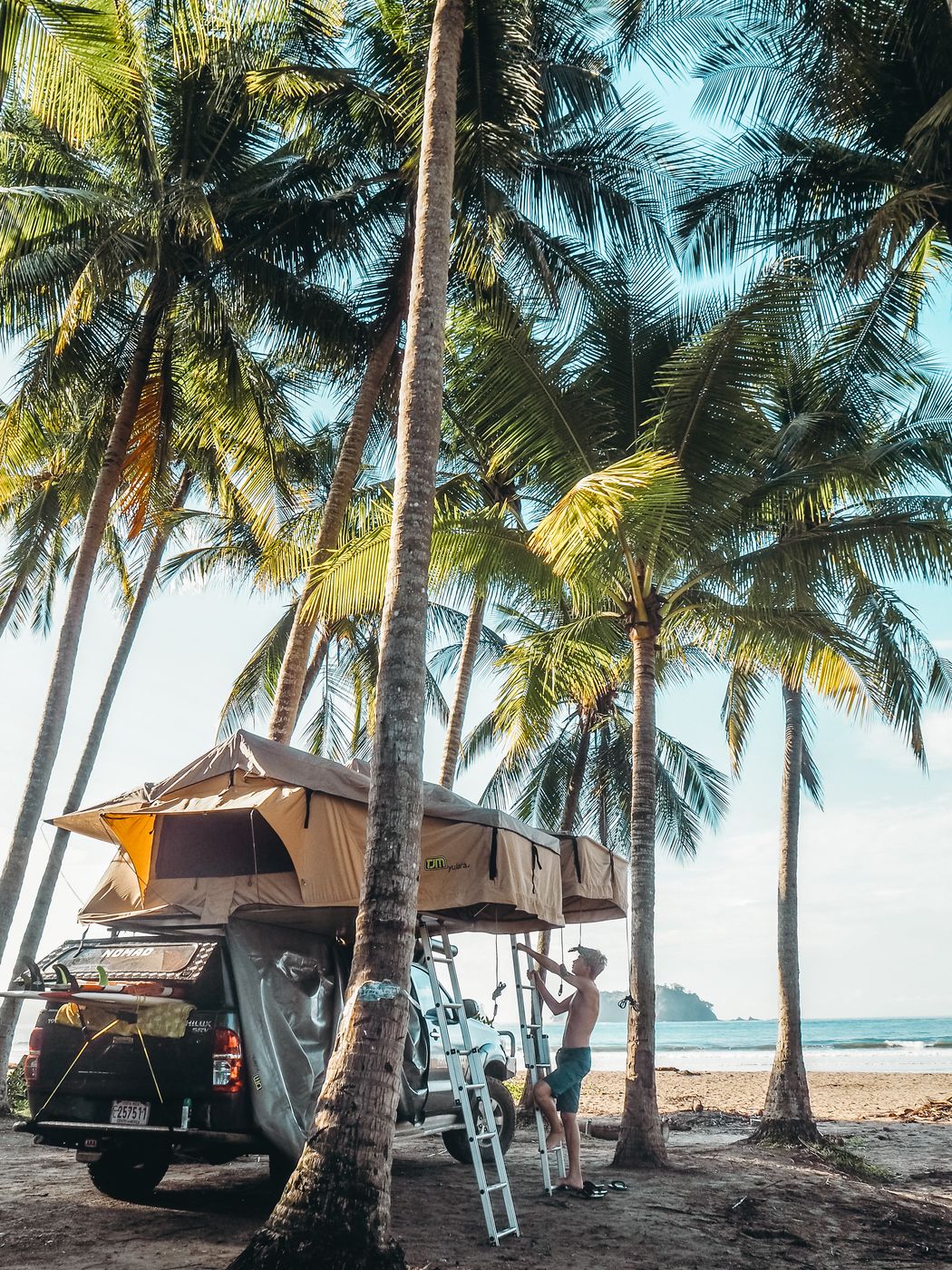 Toyota Hilux with its rooftop tent open under palms by the sea