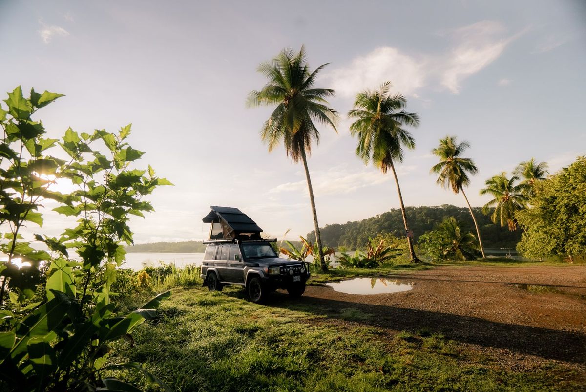 Toyota Land Cruiser LX parked by palm trees on the coast